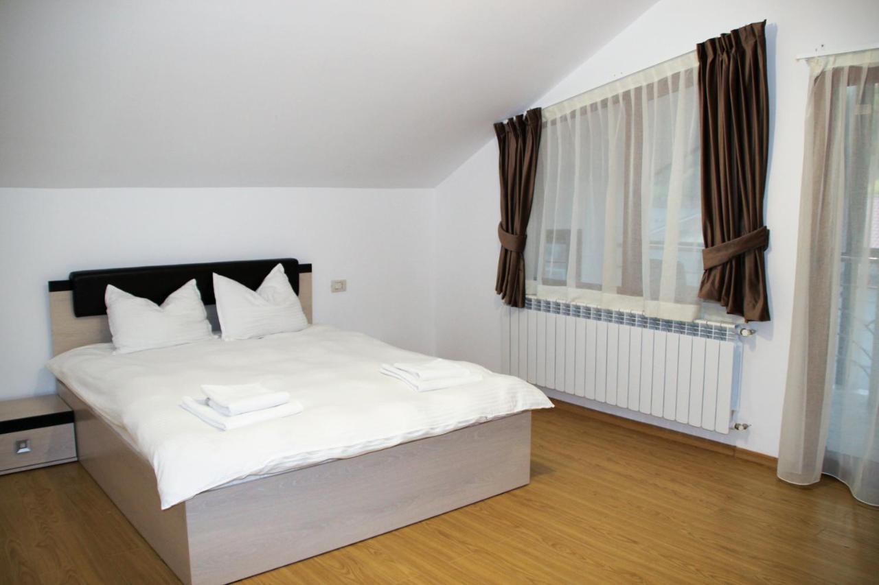 Hotel Corina Borşa المظهر الخارجي الصورة