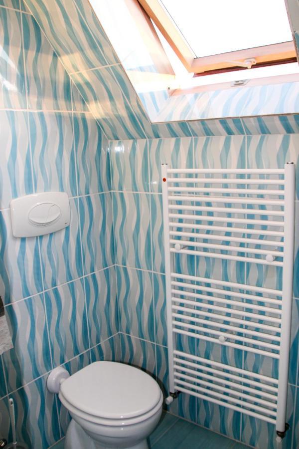 Hotel Corina Borşa المظهر الخارجي الصورة