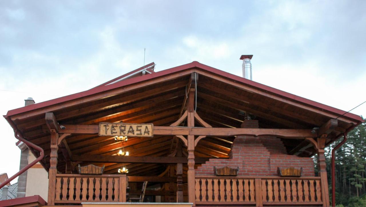 Hotel Corina Borşa المظهر الخارجي الصورة